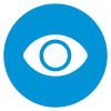 Our Vision Icon