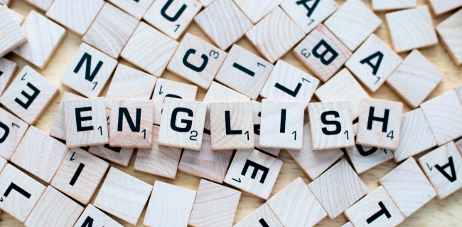 Comprehensive Guide to ELICOS English Language Schools in Australia | Fees, Courses and Application Process