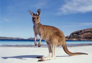 两个老人手牵手在躺椅上看夕阳