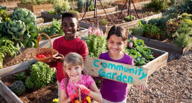 一個照護員推輪椅帶老人去公園