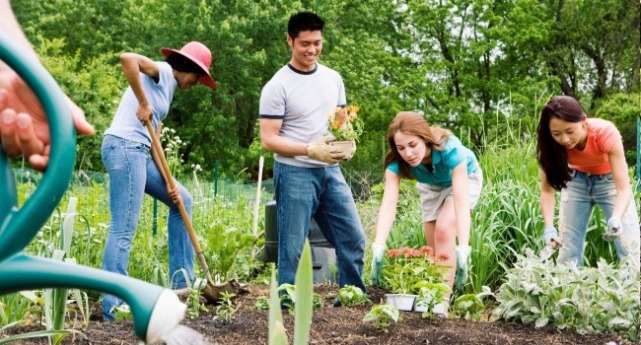 一個照護員帶一個老人看風景