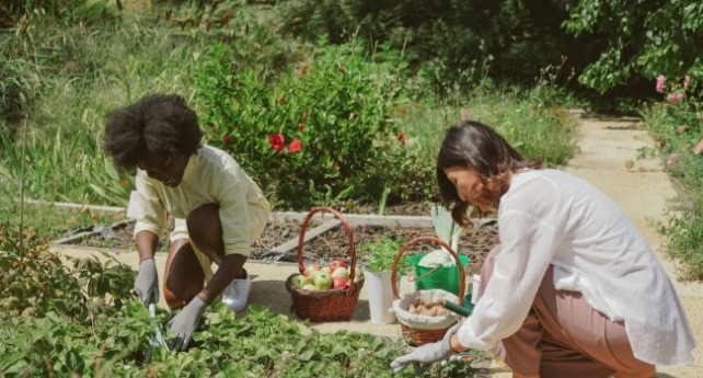 一個照護員陪伴一個老人