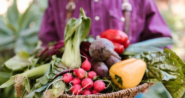 一個農民捧著一些農作物