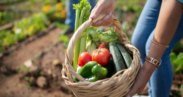 一個農人提著一籃農作物