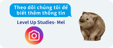 website-image-template