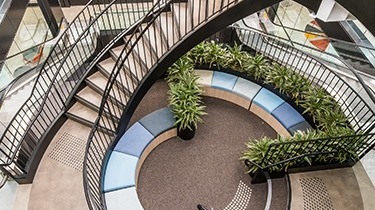 campus-stairs-seats-375x211-1 campus-stairs-seats-375x211-1